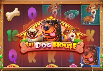 Игровой автомат The Dog House в MelBet казино